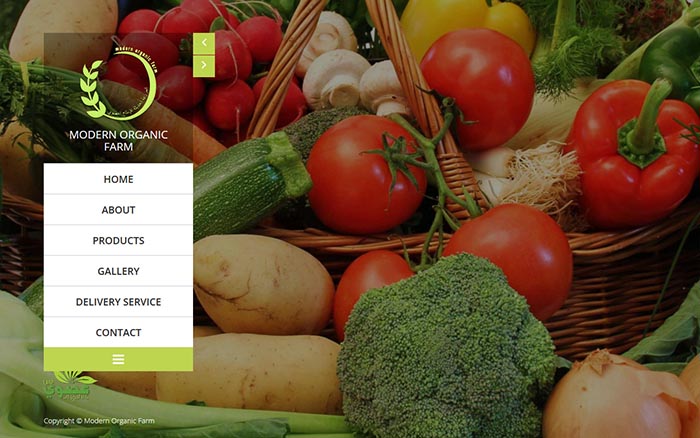 Modern Organic Farm